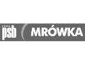 Mrówka PSB Sufigs